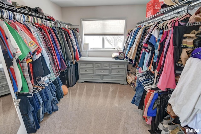 spacious closet with light carpet