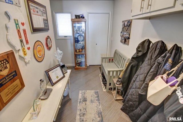 interior space featuring light hardwood / wood-style floors