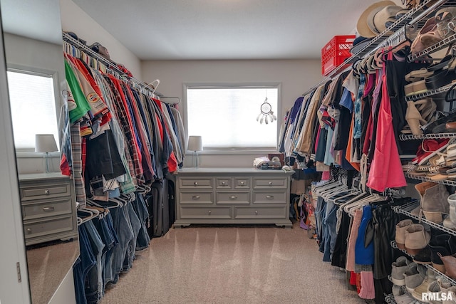 walk in closet featuring carpet