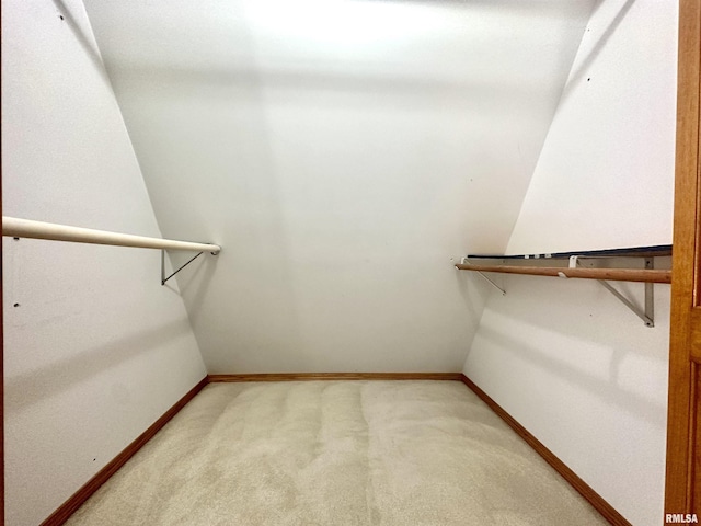 walk in closet with carpet