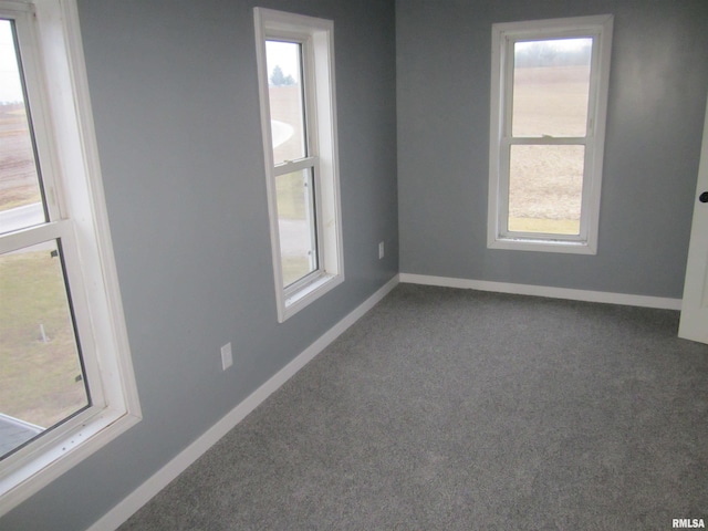 spare room with carpet flooring and a wealth of natural light