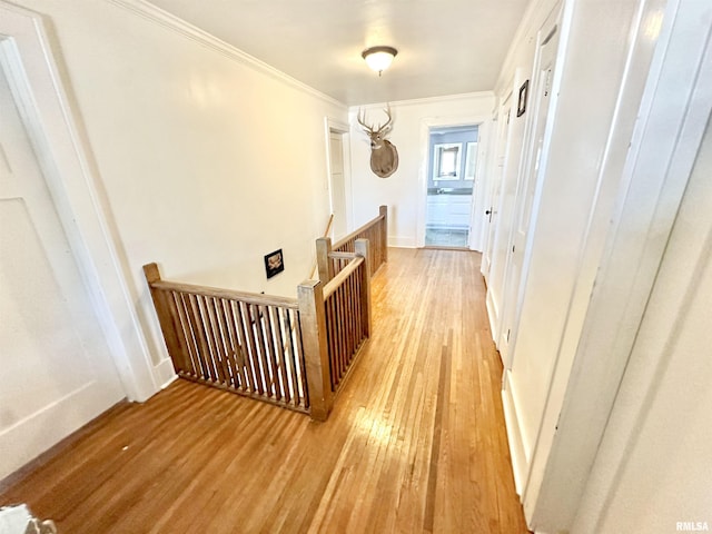 corridor featuring light hardwood / wood-style floors and ornamental molding