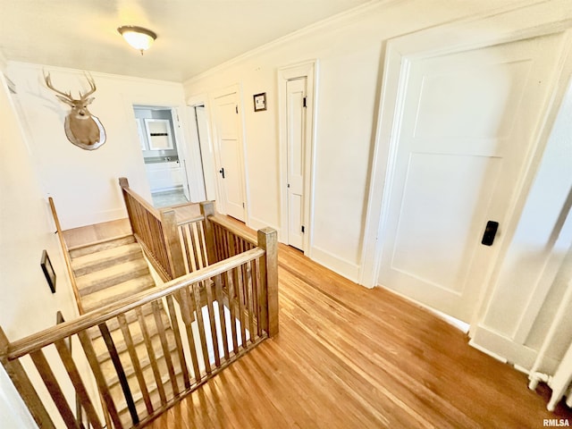 interior space with hardwood / wood-style floors and ornamental molding