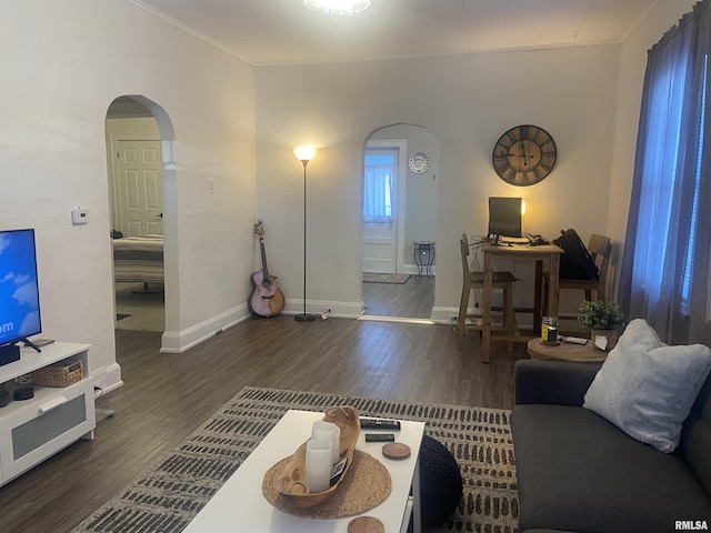 living room featuring dark wood-type flooring