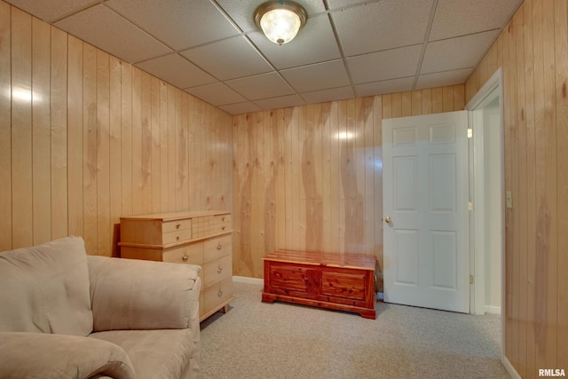 sitting room with wood walls and carpet