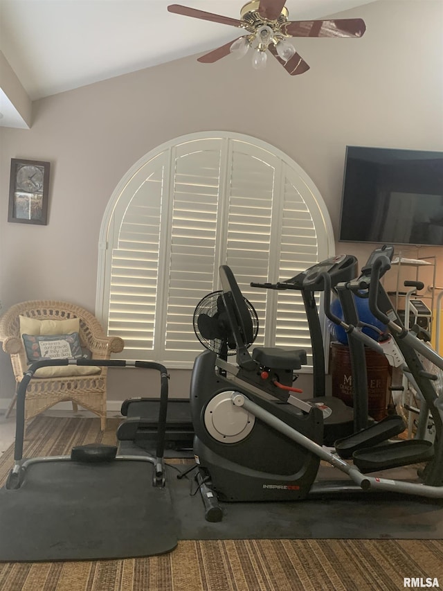 exercise room with a ceiling fan and carpet flooring