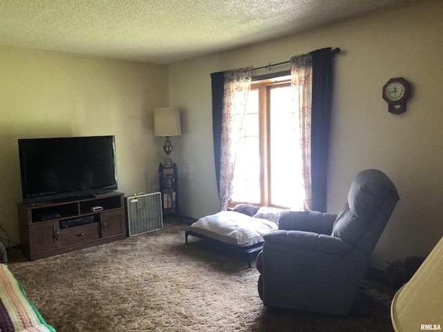 living room featuring a textured ceiling and carpet floors