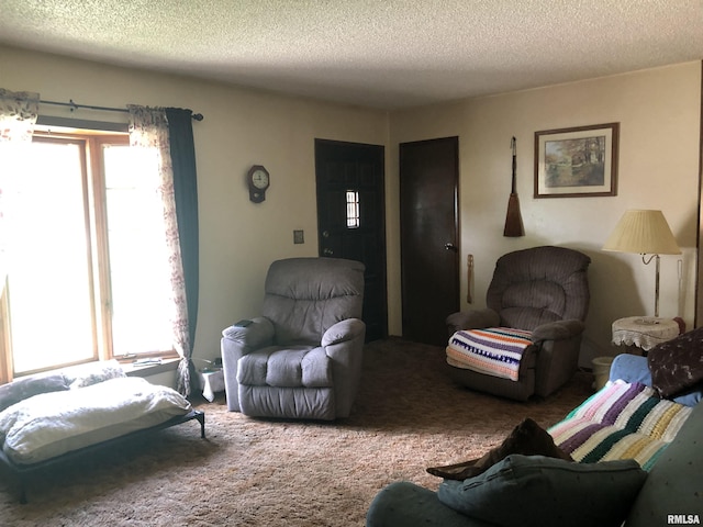 carpeted living room with a textured ceiling