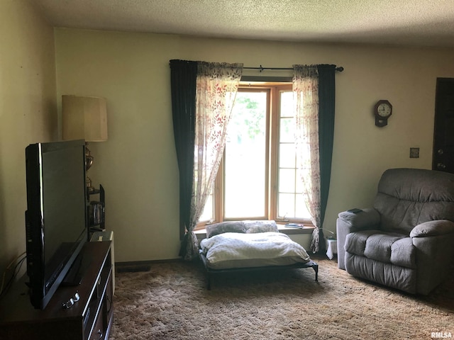 living area with carpet flooring and a textured ceiling