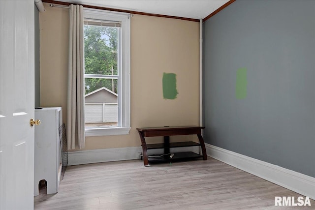 miscellaneous room featuring crown molding and light hardwood / wood-style flooring