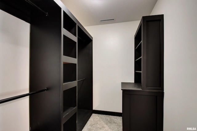 spacious closet with carpet