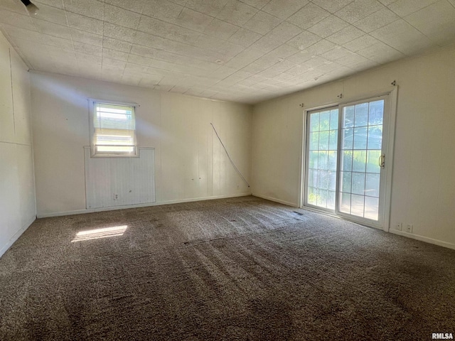 carpeted empty room featuring plenty of natural light