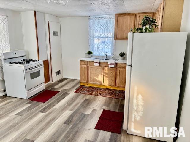 kitchen featuring dark wood-type flooring, sink, and white fridge