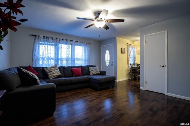 living room featuring ceiling fan and dark hardwood / wood-style floors