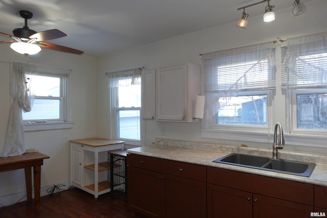 kitchen with ceiling fan, dark wood-type flooring, and sink