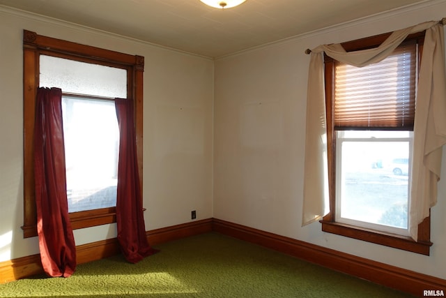 spare room featuring ornamental molding and carpet floors