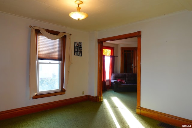 spare room featuring carpet and ornamental molding