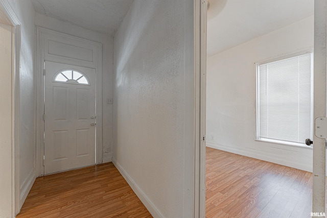 doorway to outside featuring light hardwood / wood-style flooring