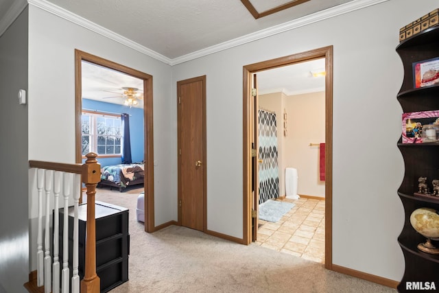 corridor featuring crown molding and carpet