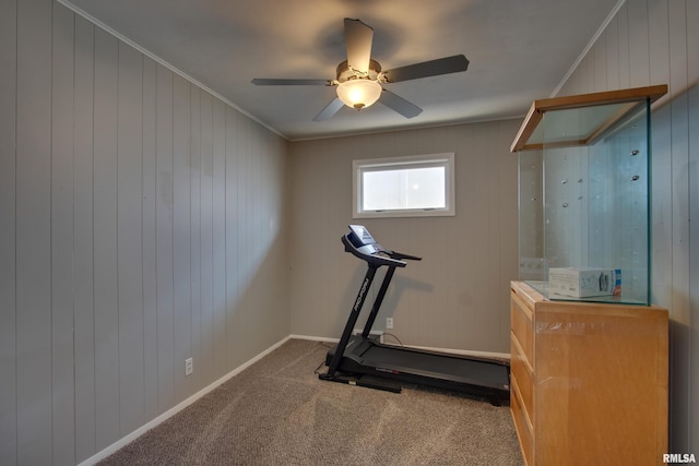 exercise room featuring carpet floors, ceiling fan, and crown molding