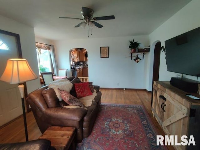 living room featuring ceiling fan and wood-type flooring