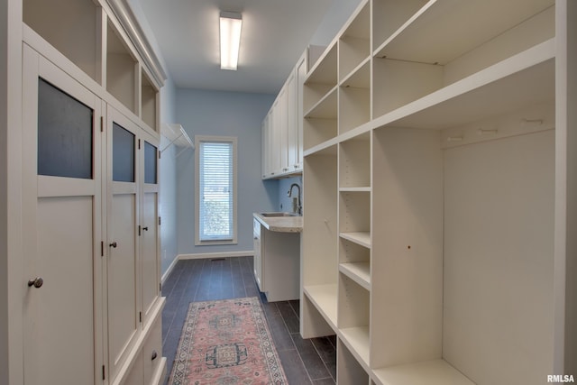 walk in closet featuring dark wood-type flooring and sink