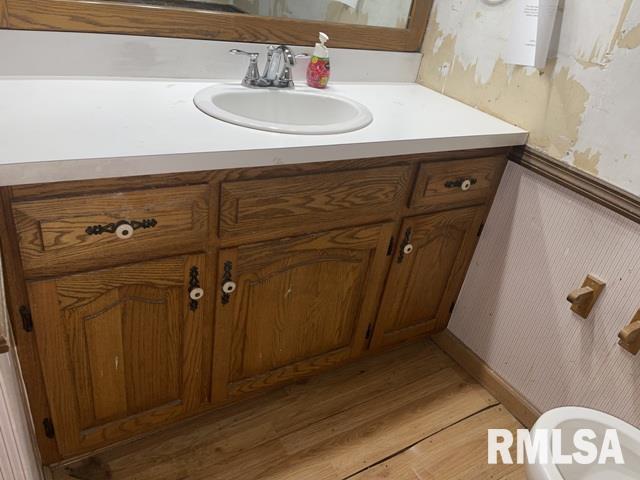 bathroom with hardwood / wood-style flooring and vanity