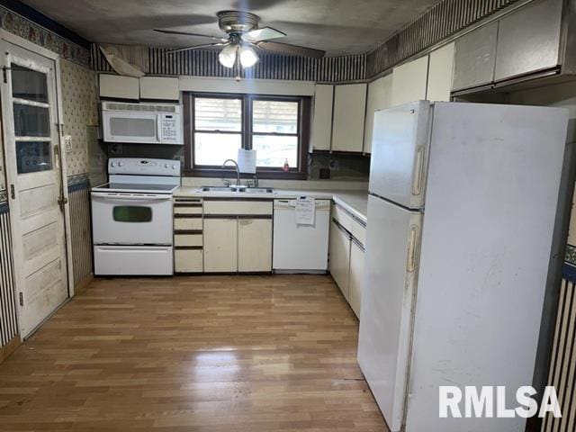 kitchen with light hardwood / wood-style flooring, ceiling fan, sink, white cabinets, and white appliances