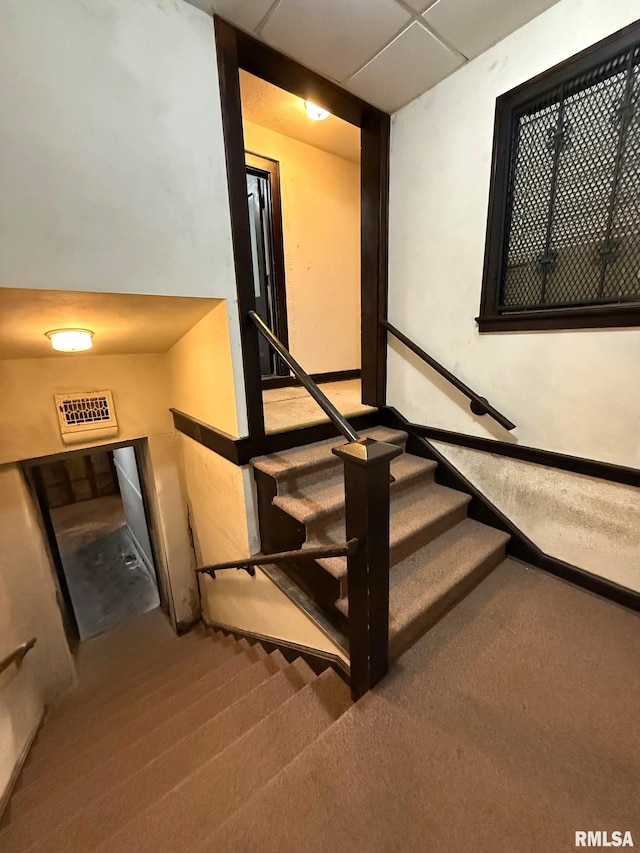 staircase featuring carpet flooring and a drop ceiling