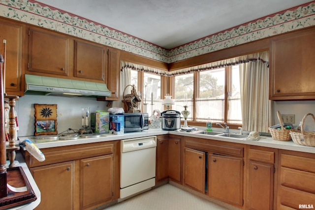 kitchen with sink, dishwasher, gas cooktop, and extractor fan