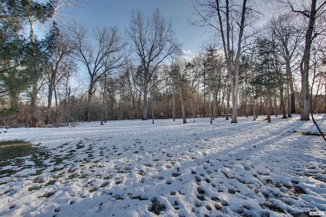 view of snowy yard