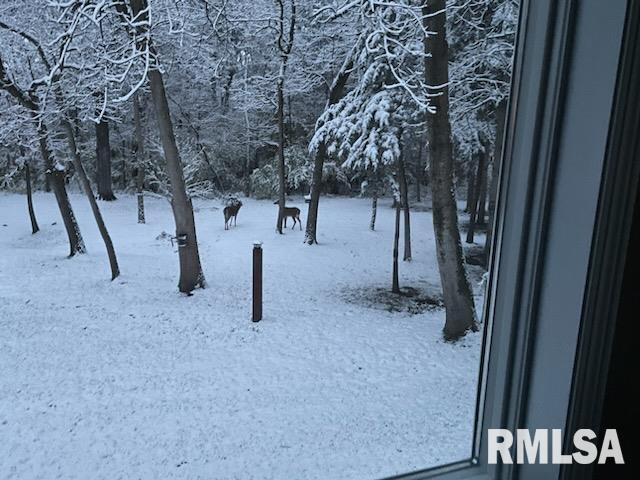 view of yard layered in snow