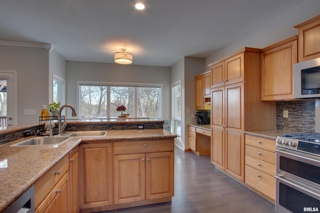 kitchen featuring wood-type flooring, decorative backsplash, sink, ornamental molding, and stainless steel appliances