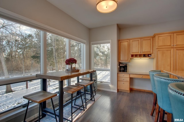 interior space featuring light brown cabinets, dark wood-type flooring, a wealth of natural light, and built in desk