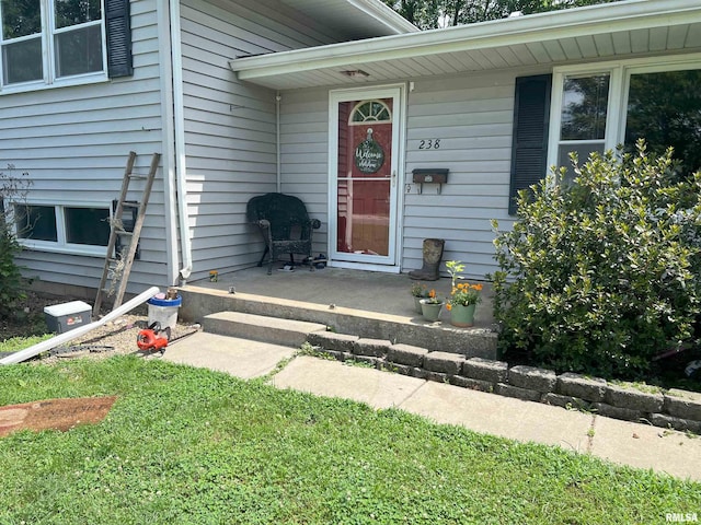238 E Prairie St, Roodhouse, IL 62082 - photo 2