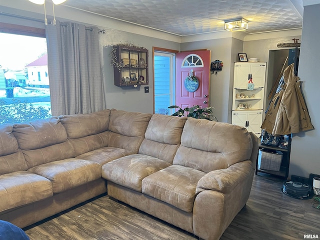238 E Prairie St, Roodhouse, IL 62082 - living room with dark hardwood / wood-style floors and a textured ceiling