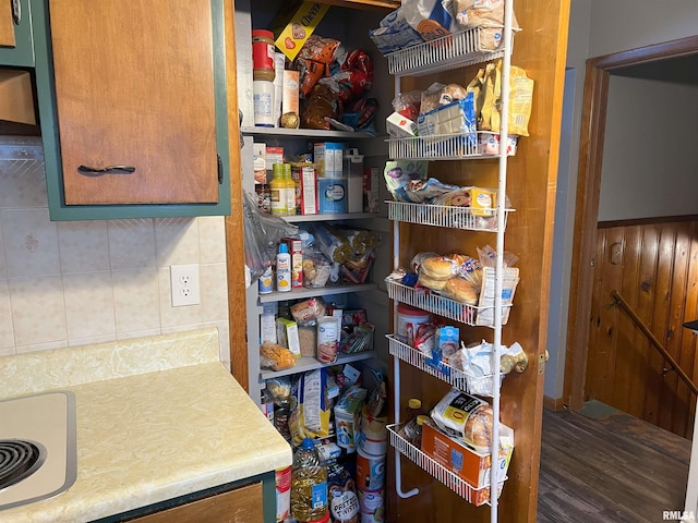 238 E Prairie St, Roodhouse, IL 62082 - view of pantry