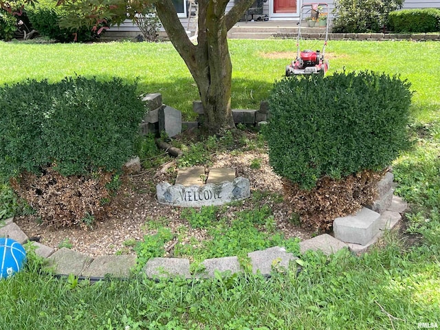 238 E Prairie St, Roodhouse, IL 62082 - photo 54