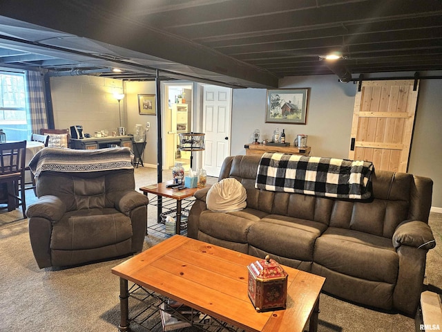 living room featuring a barn door