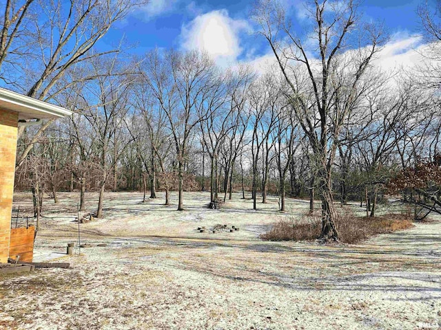 view of snowy yard