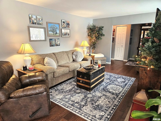 living room with dark hardwood / wood-style flooring