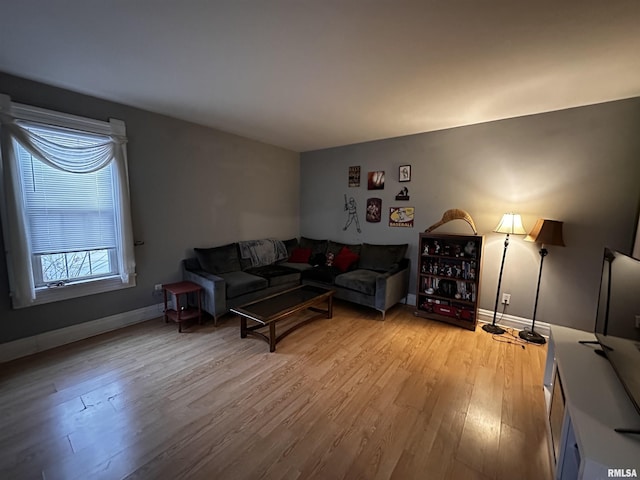 living room with light wood-type flooring