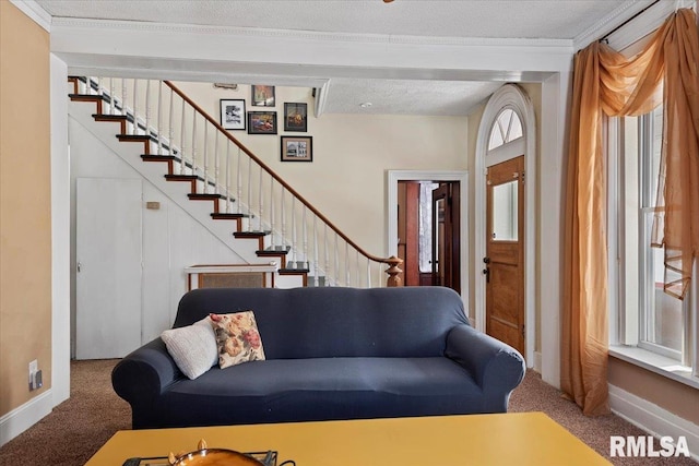 living room with crown molding, carpet floors, and a textured ceiling