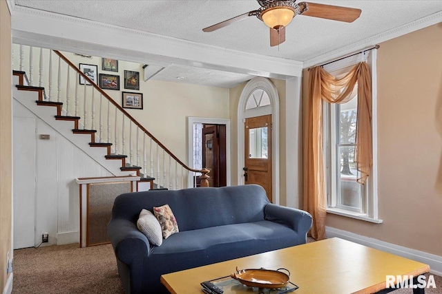 carpeted living room with ceiling fan, ornamental molding, and a textured ceiling