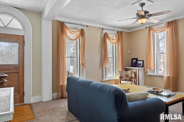 carpeted living room with ceiling fan, ornamental molding, and a textured ceiling