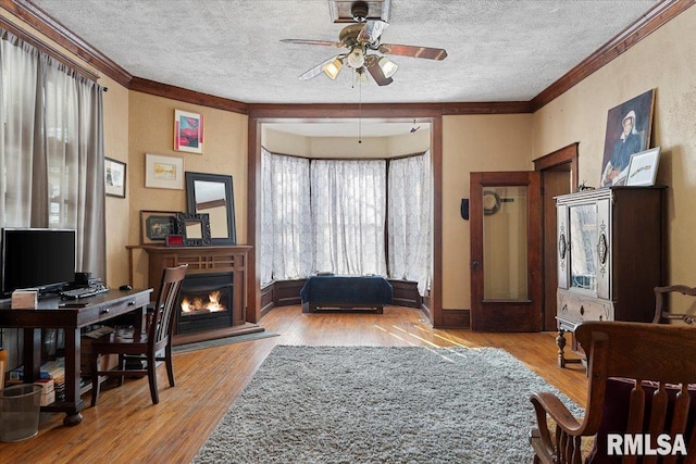 office area featuring ceiling fan, crown molding, light hardwood / wood-style floors, and a textured ceiling