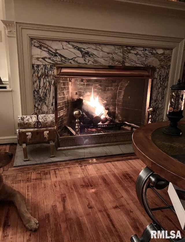 interior details featuring wood-type flooring and a fireplace