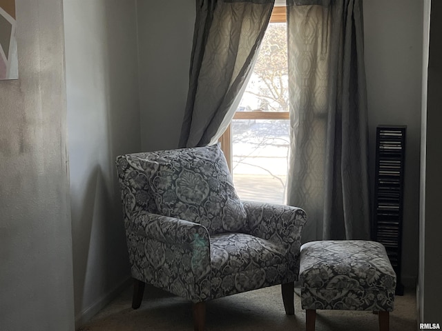 sitting room with carpet floors