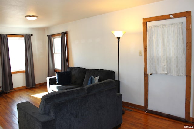 living room featuring hardwood / wood-style flooring