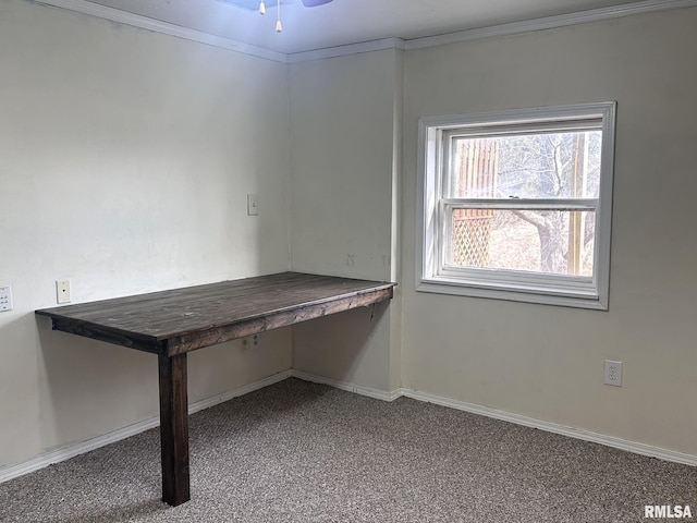 unfurnished office featuring ceiling fan, ornamental molding, and carpet flooring